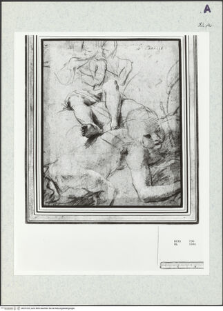 Vorderseite von bh351329_recto