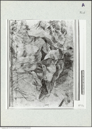 Vorderseite von bh351335_recto