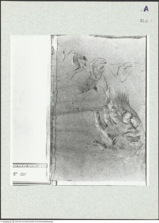 Vorderseite von bh351336_recto