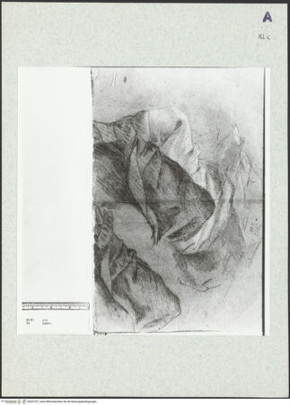 Vorderseite von bh351337_recto