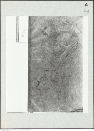 Vorderseite von bh351338_recto