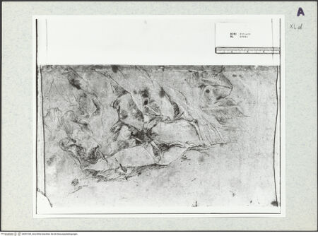 Vorderseite von bh351339_recto