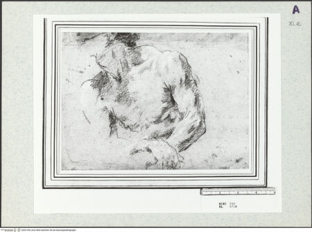 Vorderseite von bh351340_recto