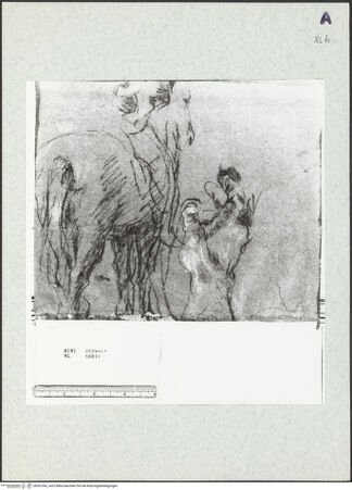 Vorderseite von bh351343_recto