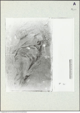 Vorderseite von bh351346_recto