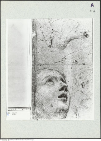 Vorderseite von bh351349_recto