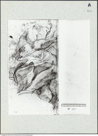 Vorderseite von bh351350_recto