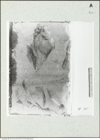 Vorderseite von bh351354_recto