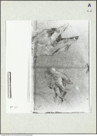 Vorderseite von bh351355_recto