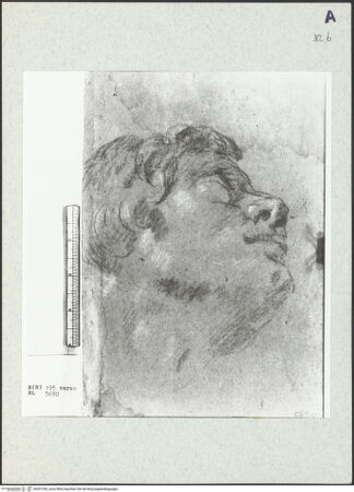 Vorderseite von bh351356_recto