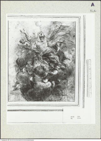 Vorderseite von bh351359_recto