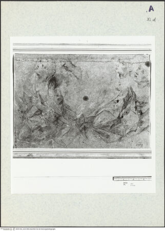 Vorderseite von bh351362_recto