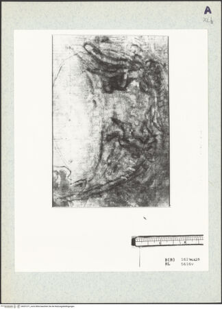 Vorderseite von bh351371_recto