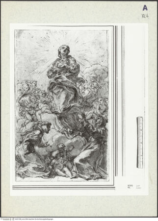 Vorderseite von bh351388_recto