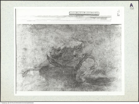 Vorderseite von bh351404_recto