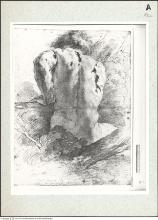 Vorderseite von bh351410_recto