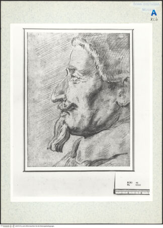 Vorderseite von Royal Collection Enterprises Limited [https://www.deutsche-digitale-bibliothek.de/content/lizenzen/rv-ez/] Portrait von Papst Alexander VII - , bh351416_recto. Foto.