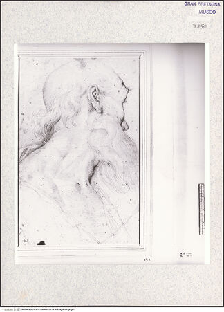 Vorderseite von bh351465_recto