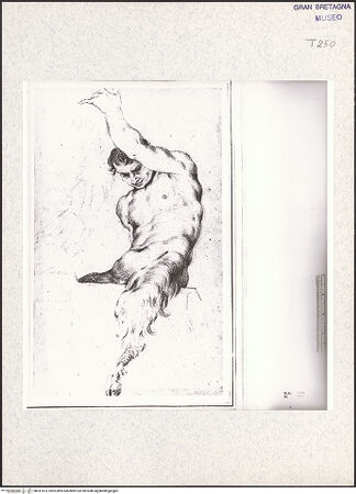 Vorderseite von bh351473_recto