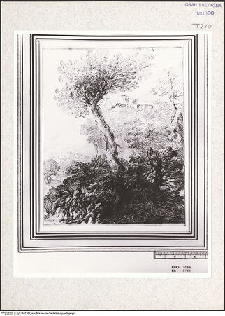 Vorderseite von bh351485_recto