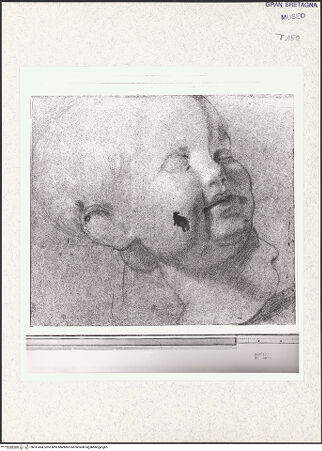 Vorderseite von bh351494_recto