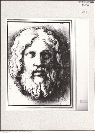 Vorderseite von bh351495_recto