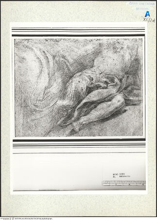 Vorderseite von Royal Collection Enterprises Limited [https://www.deutsche-digitale-bibliothek.de/content/lizenzen/rv-ez/] Gewand des heiligen Hieronimus - , bh351506_recto. Foto.