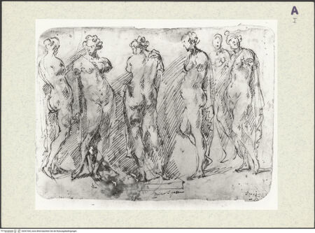 Vorderseite von bh351543_recto