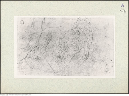 Vorderseite von bh351694_recto