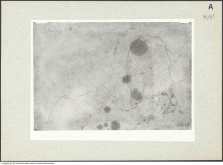 Vorderseite von bh351695_recto