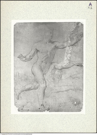 Vorderseite von bh351851_recto