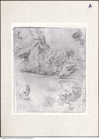 Vorderseite von bh351864_recto