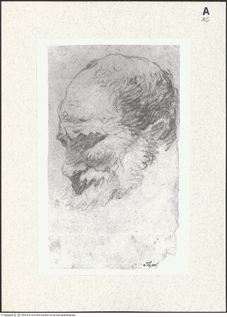 Vorderseite von bh351870_recto