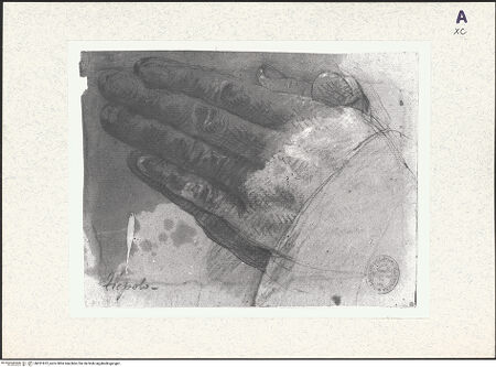 Vorderseite von bh351872_recto