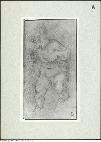 Vorderseite von bh351976_recto