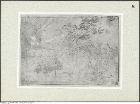 Vorderseite von bh351978_recto