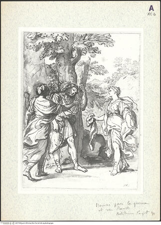 Vorderseite von bh351984_recto