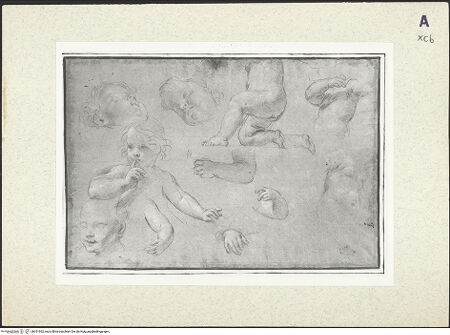 Vorderseite von bh351992_recto