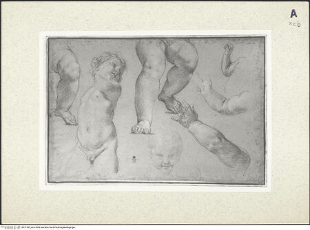 Vorderseite von bh351993_recto