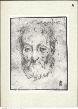 Vorderseite von bh352016_recto