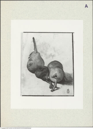 Vorderseite von bh352022_recto