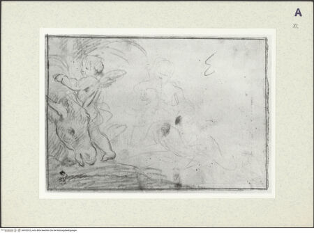 Vorderseite von bh352033_recto