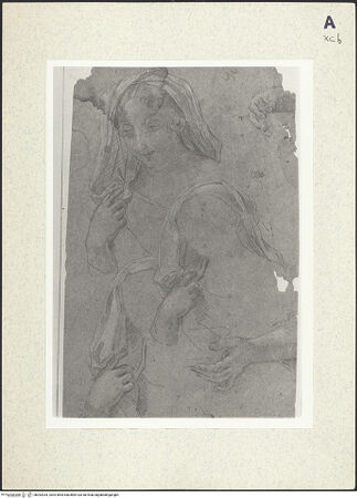 Vorderseite von bh352034_recto