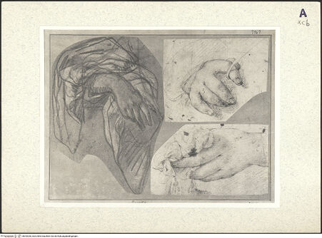 Vorderseite von bh352036_recto