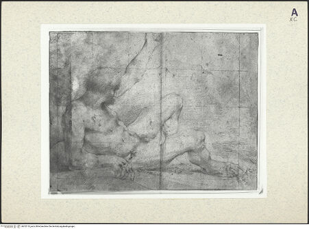 Vorderseite von bh352113_recto