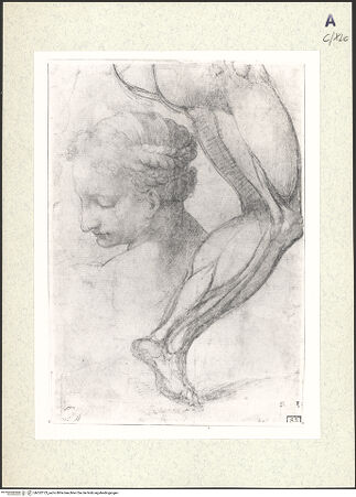 Vorderseite von bh352123_recto