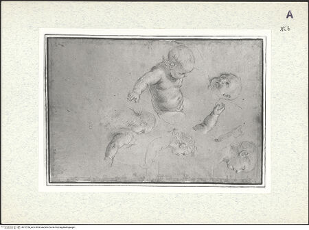 Vorderseite von bh352324_recto