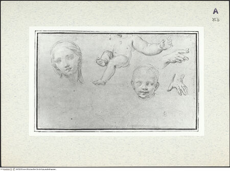 Vorderseite von bh352333_recto