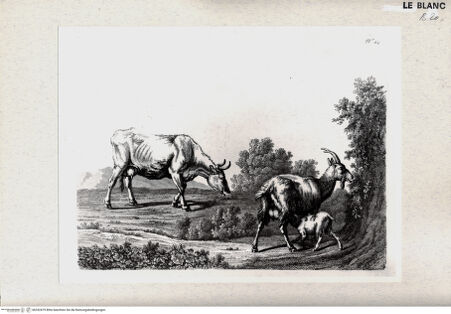 Vorderseite von bh352479