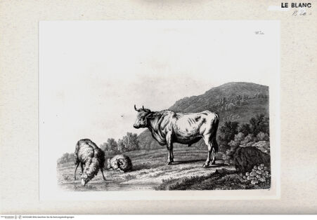 Vorderseite von bh352480